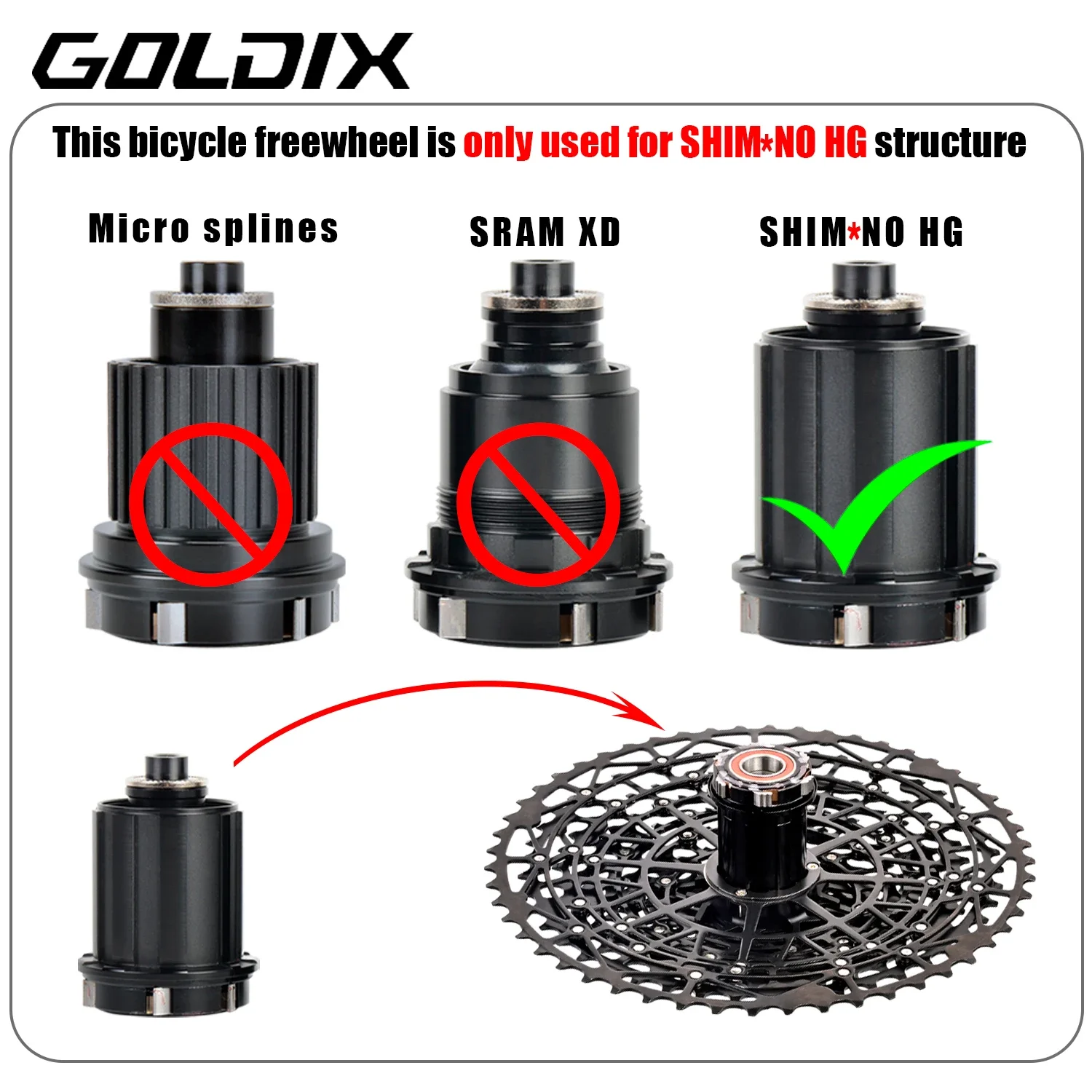 GOLDIX-Cassette ultraligero pa - Cycling Gear Material reseña y precio